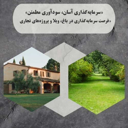سرمایه گذاری در پروژه ها