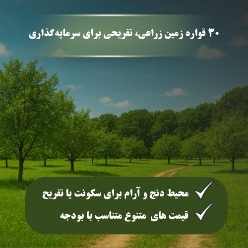 سرمایه گذاری